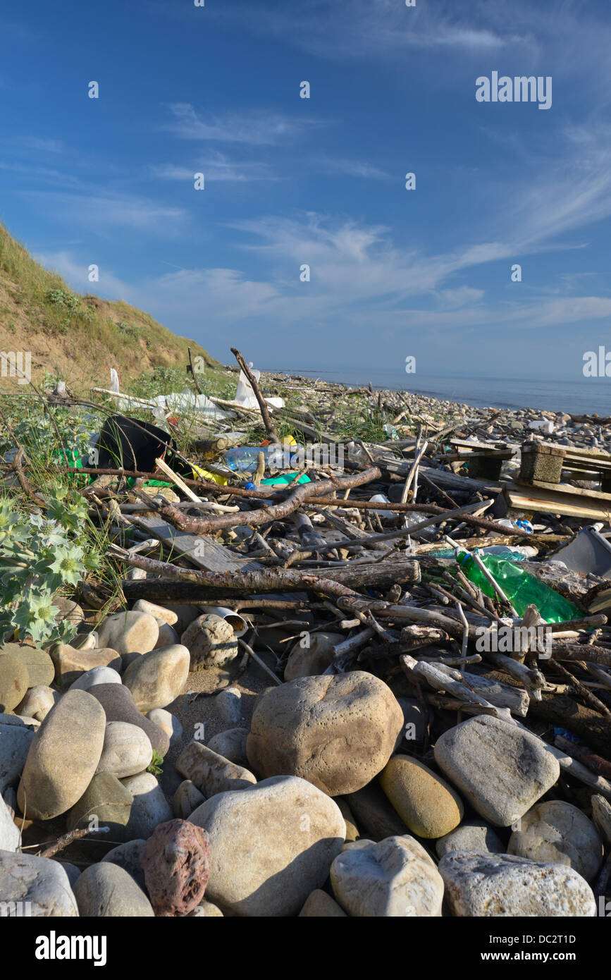 Treibholz und Müll angesammelt am Strand von Qualitätsorientierung Nature Reserve, South Wales Stockfoto