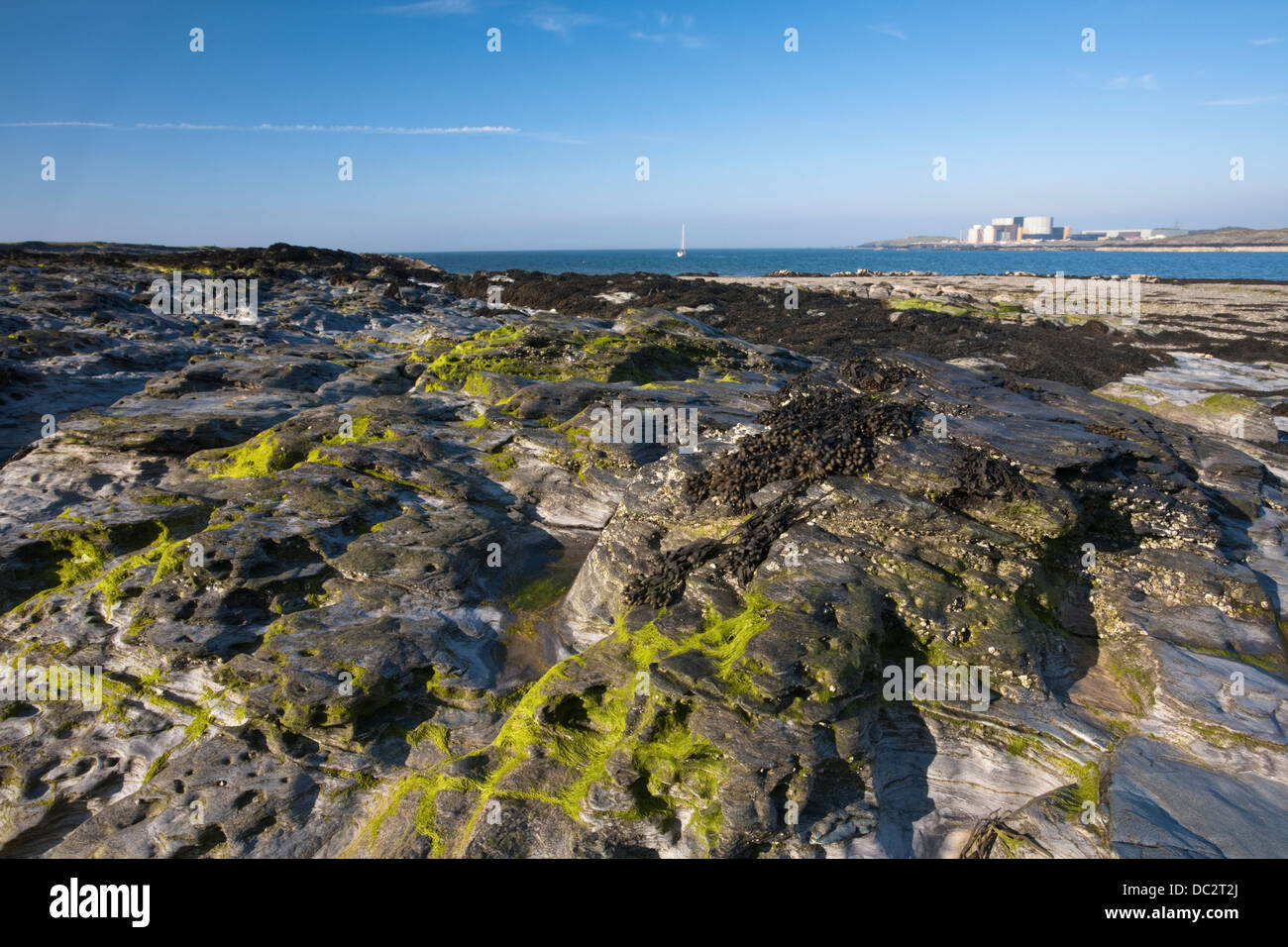 Kernkraftwerk Wylfa aus Cemlyn Bay Nature Reserve, Anglesey, Wales Stockfoto