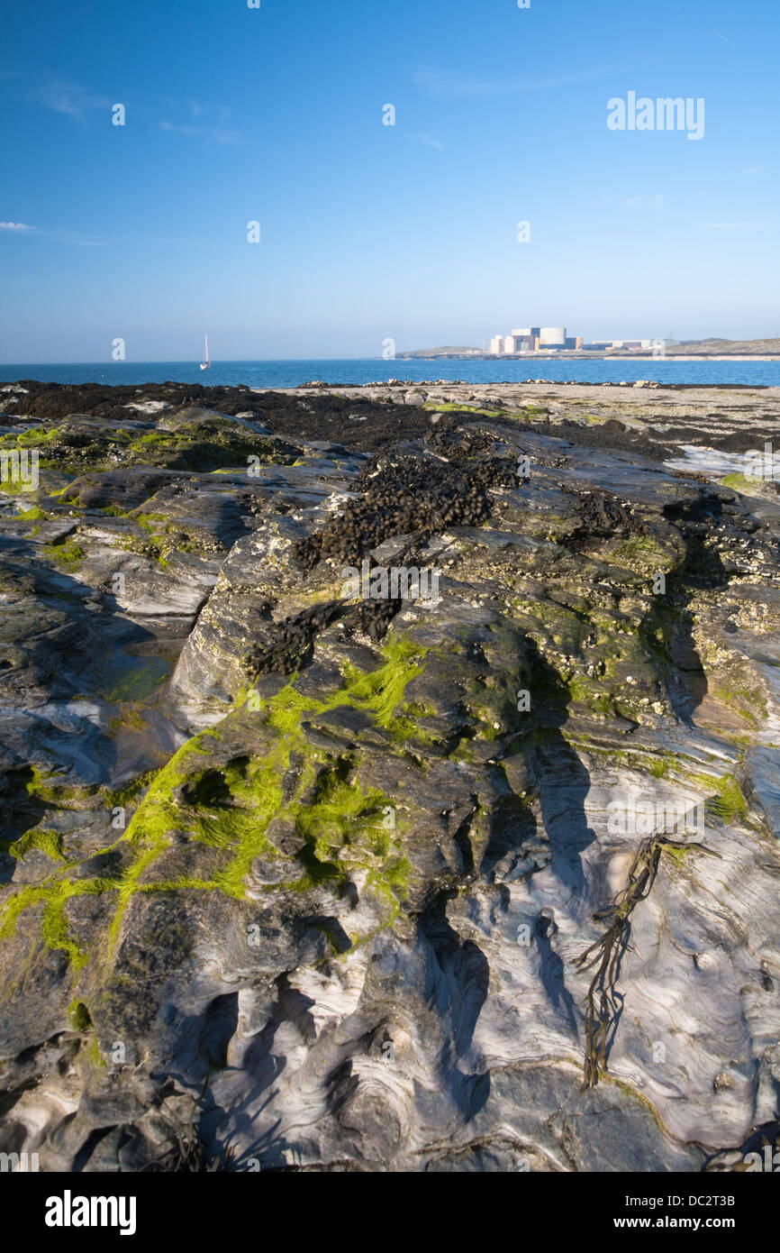 Kernkraftwerk Wylfa aus Cemlyn Bay Nature Reserve, Anglesey, Wales Stockfoto