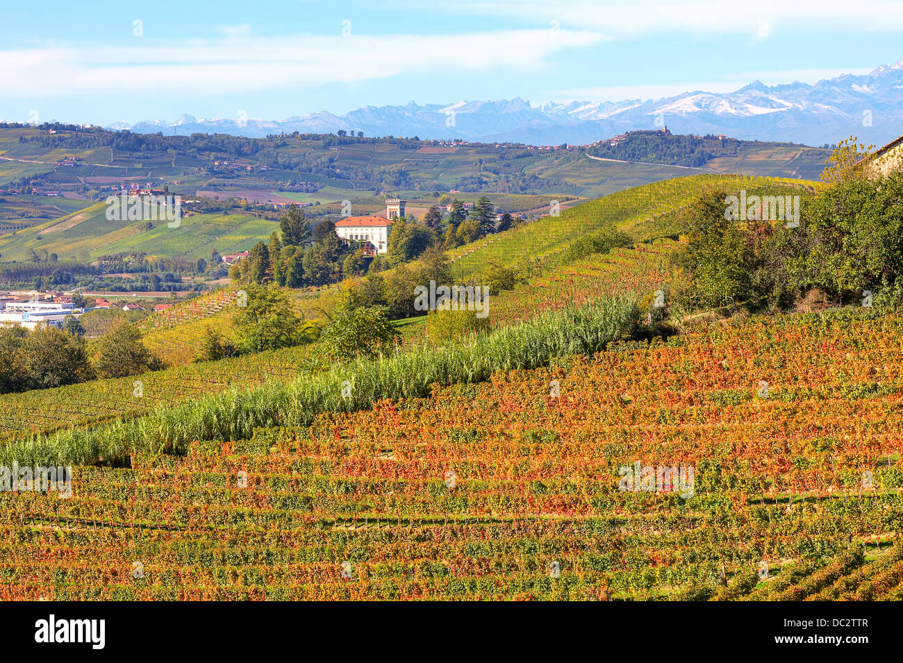 Blick auf Weinberge mit gelben und roten Blättern auf den Hügeln der Langhe im Piemont, Norditalien. Stockfoto