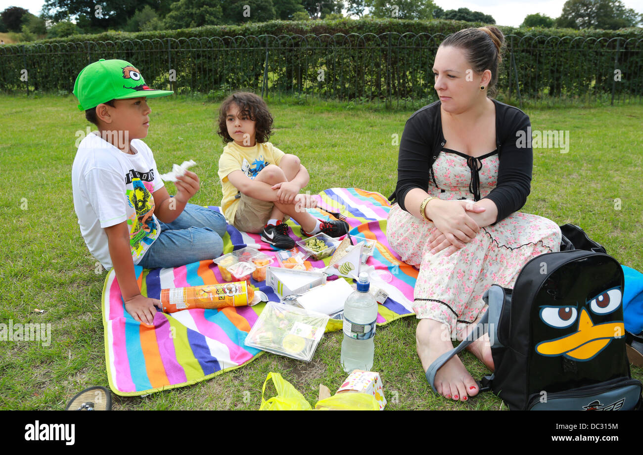 Alleinerziehende Mutter und ihre beiden Söhne mit einem Picknick im park Stockfoto
