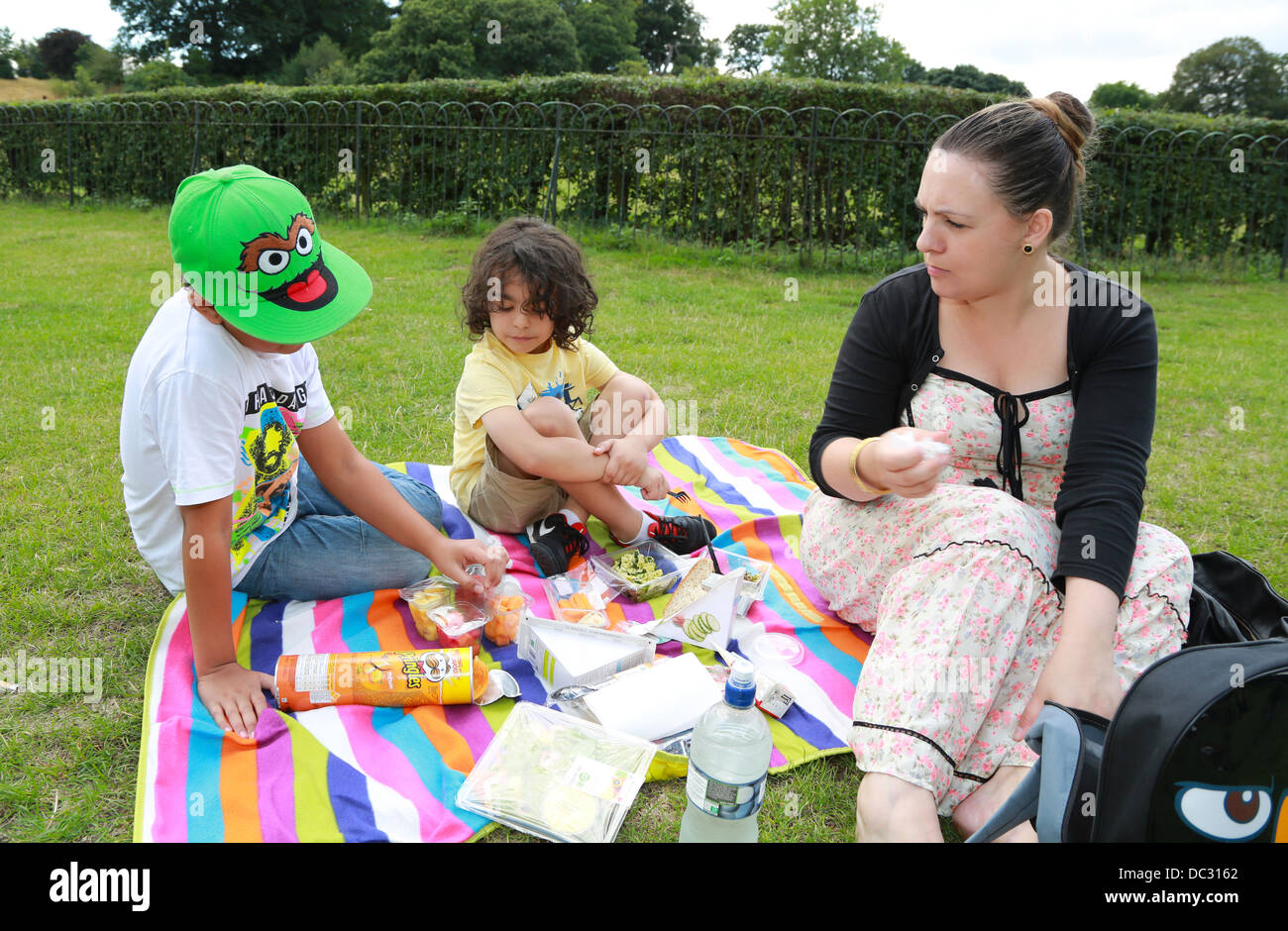 Alleinerziehende Mutter und ihre beiden Söhne mit einem Picknick im park Stockfoto