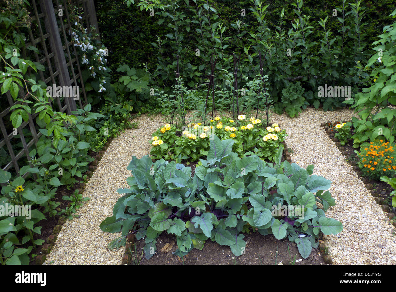 Küchengarten Demo-Grundstück in Geoff Hamiltons Barnsdale Gärten, Rutland, UK. Stockfoto