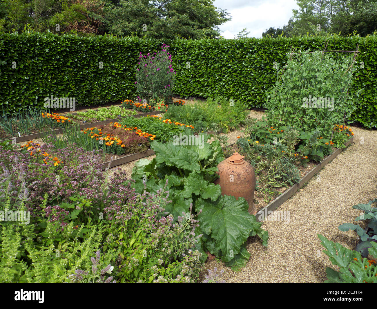 Ausgelöst Bett Grundstücke, Küchengarten, mit Companion Pflanzen, Schädlinge, Geoff Hamiltons Barnsdale Gärten, Rutland, UK abzuschrecken. Stockfoto