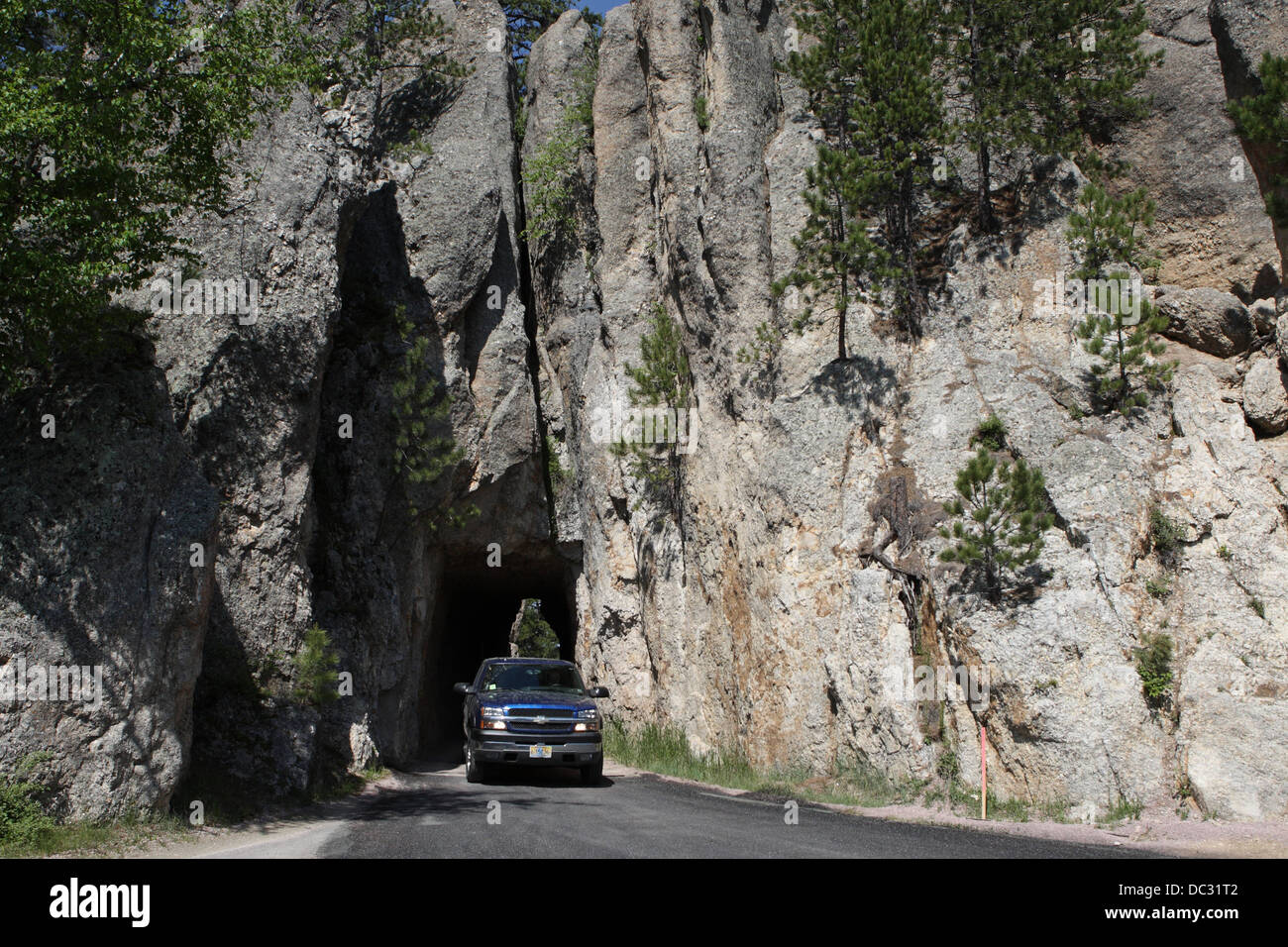 Nadeln-Autobahn Stockfoto