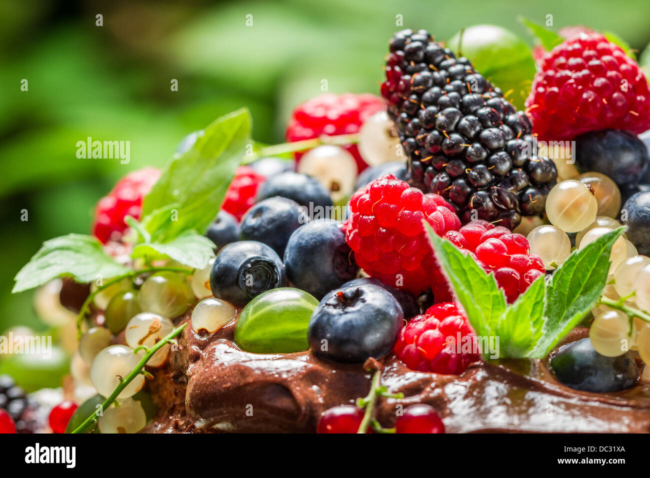 Frische Waldbeeren Früchte Stockfoto