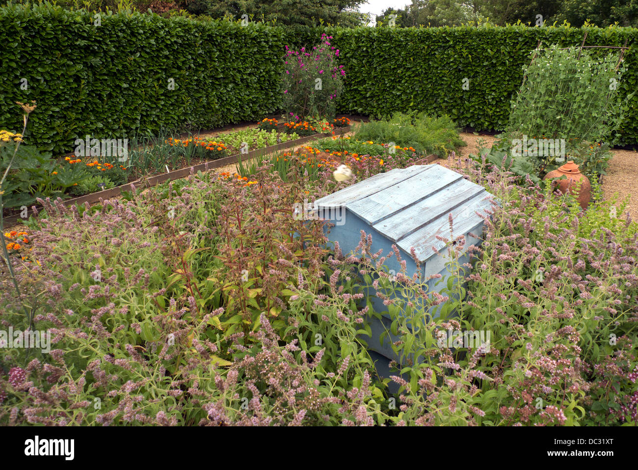 Kräuter rund um den Bienenstock im Küchengarten, Geoff Hamiltons Barnsdale Gärten, Rutland, UK. Stockfoto