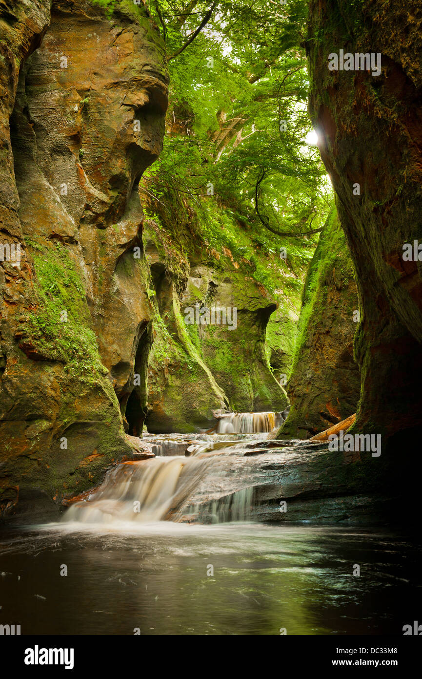 Die Schlucht am Finnich Glen, auch bekannt als Teufel Kanzel nahe Killearn Schottland Stockfoto