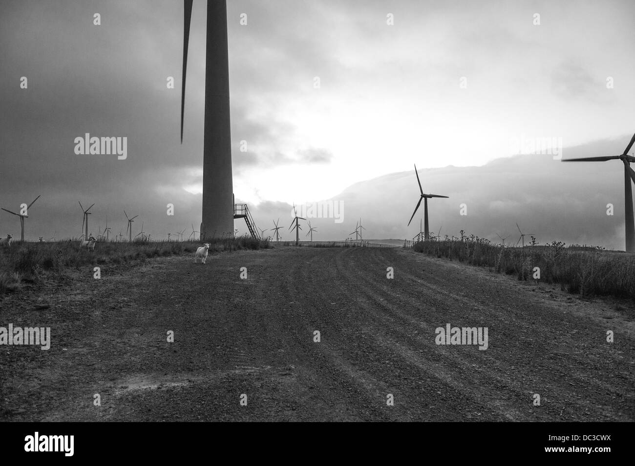 Windenergieanlagen Silhouette gegen einen dunklen am frühen Abend Himmel. Schwarz & Weiß. Stockfoto