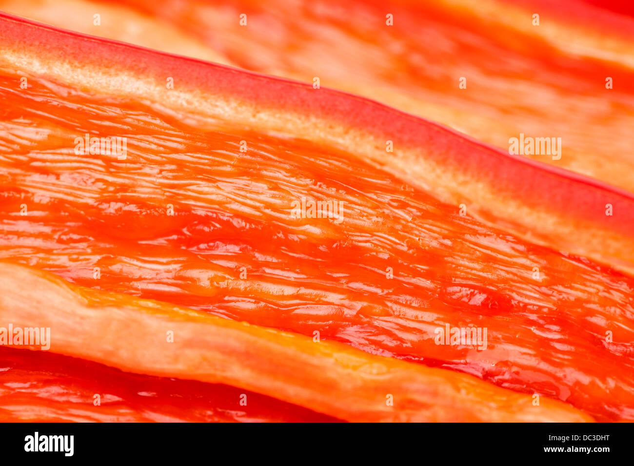 Pfeffer, Chili schneiden Makro Nahaufnahme Stockfoto
