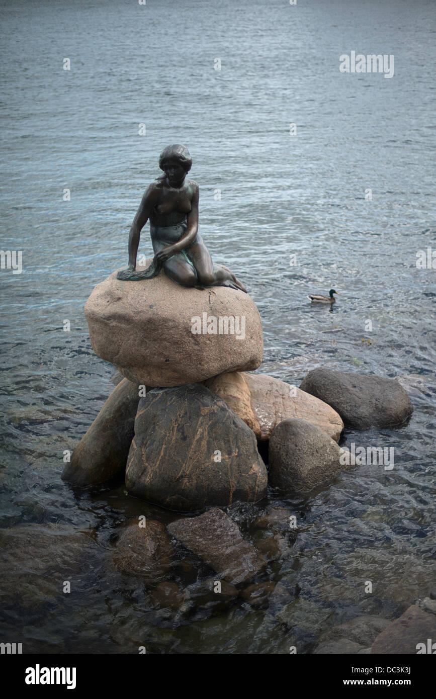 Kleine Meerjungfrau in Kopenhagen in Dänemark fotografiert Stockfoto