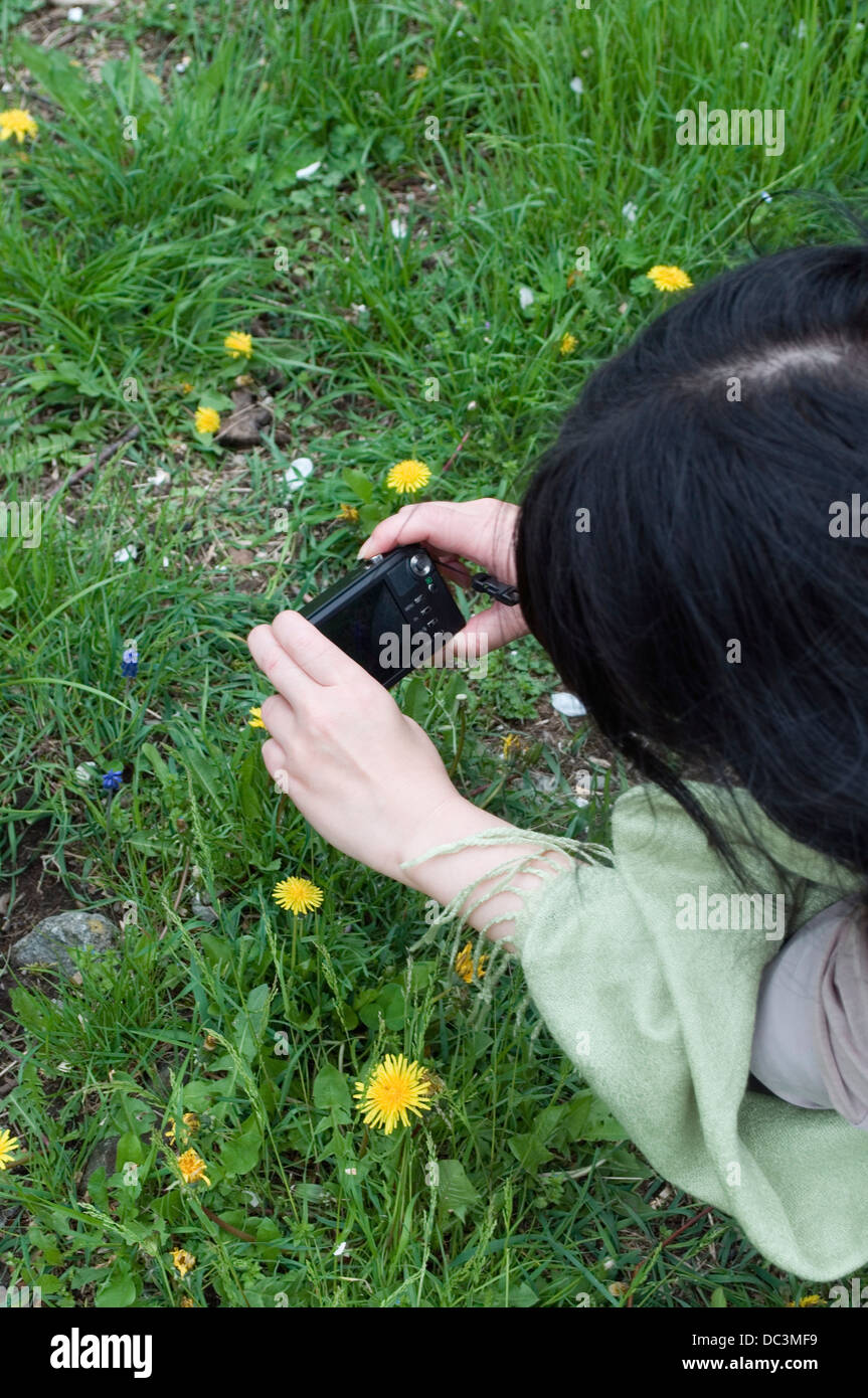 Frau, die Blumen im Feld mit einer Kompaktkamera fotografieren Stockfoto