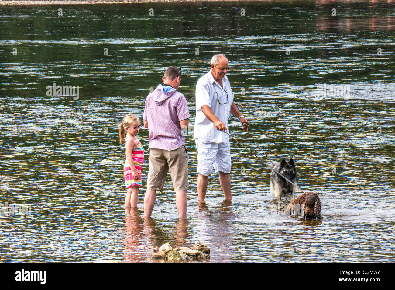 Eine Familie und zwei Hunde im seichten Wasser des Flusses in Limeuil, wo die Flüsse Dordogne und Vézère, an einem heißen Tag im Südwesten Frankreichs. Stockfoto