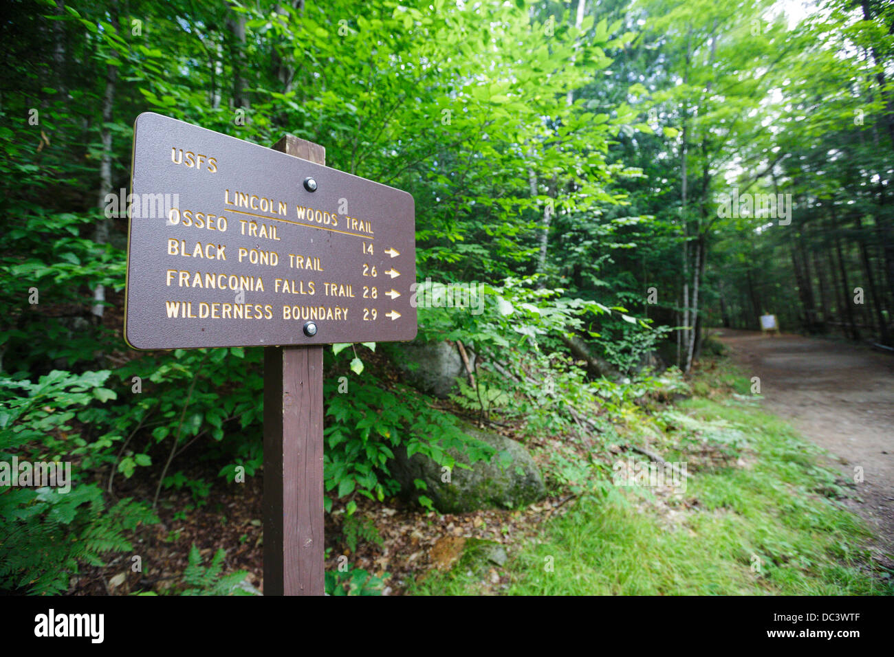 Lincoln Woods Trail neben der East Branch der Pemigewasset River in Lincoln, New Hampshire, USA Stockfoto