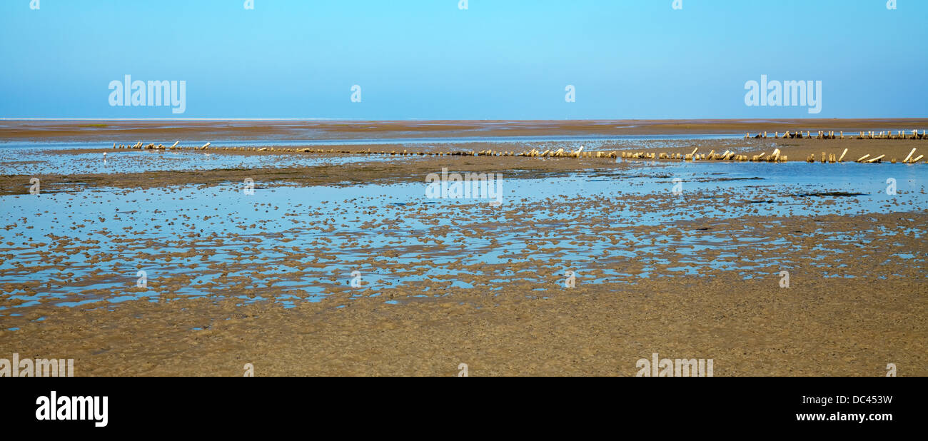 Nationalpark dänischen Wattenmeer Stockfoto