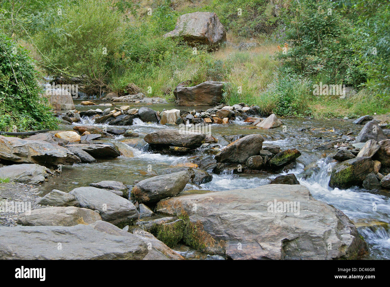 In der Nähe der Quelle des Rio Genil, Sierra Nevada, Andalusien, Spanien. Stockfoto