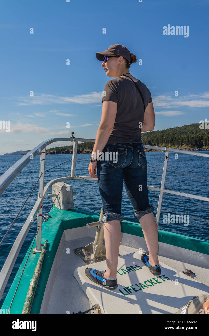 Die weibliche Biologin, die Molly Bawn für Whale & Puffin Touren aus den fünf Inseln, Neufundland das Tourenboot begleitet. Stockfoto