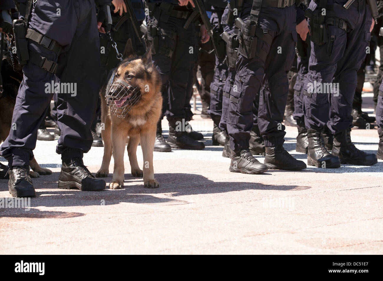 Ein Polizist mit seinem Polizeihund Stockfoto
