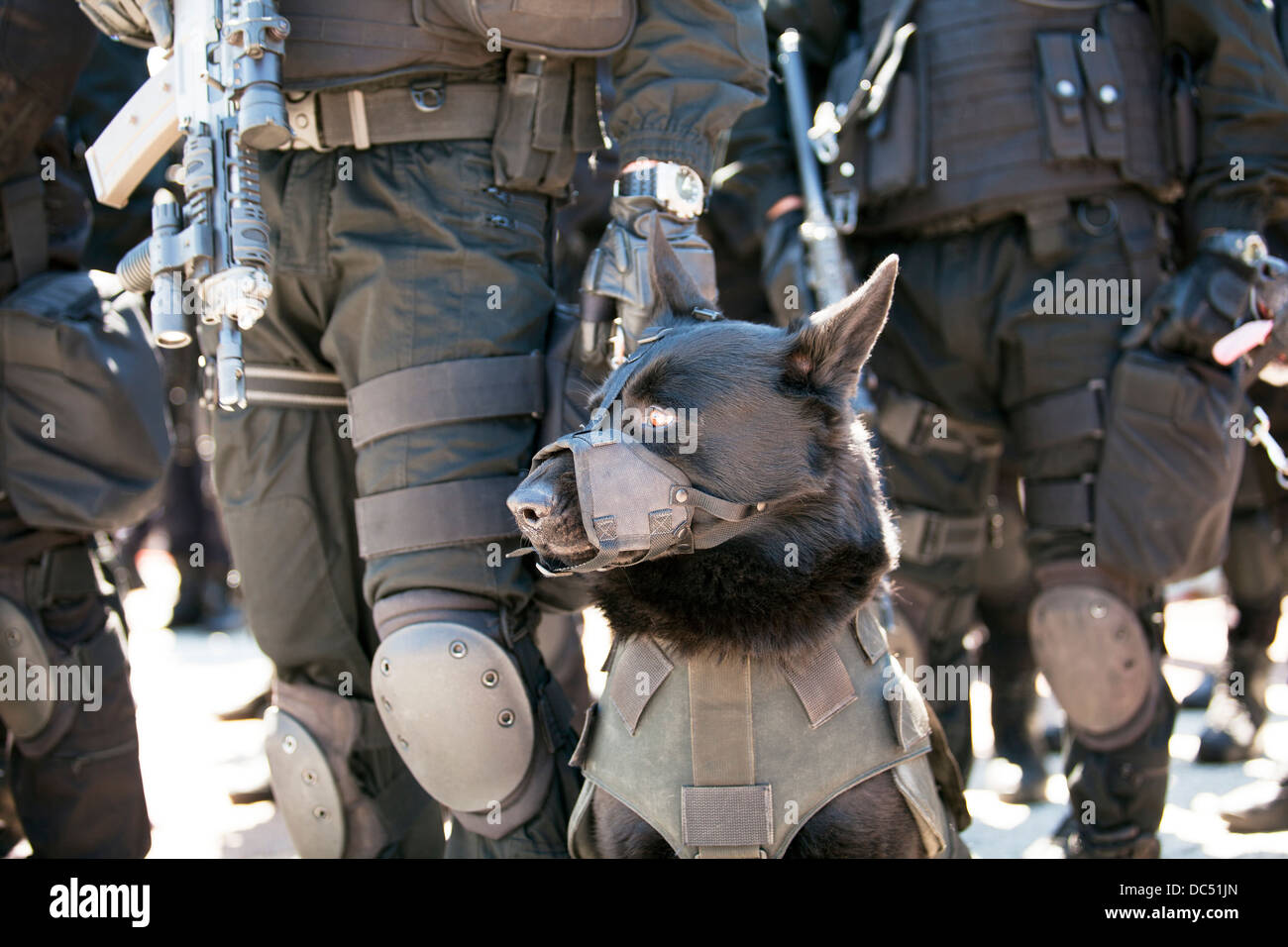 Ein Polizist mit Polizeihund Stockfoto