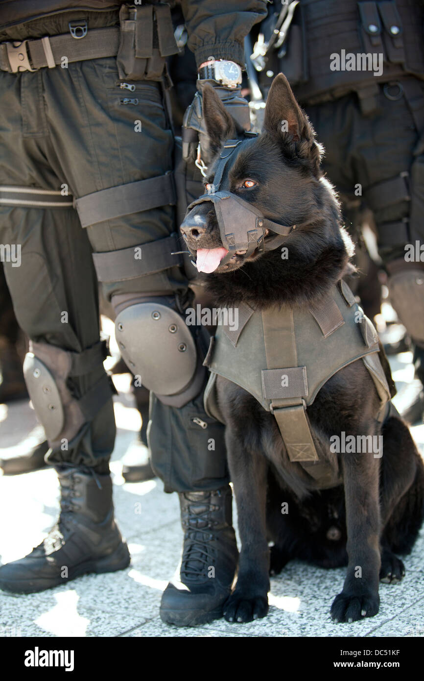 Ein Polizist mit Polizeihund Stockfoto