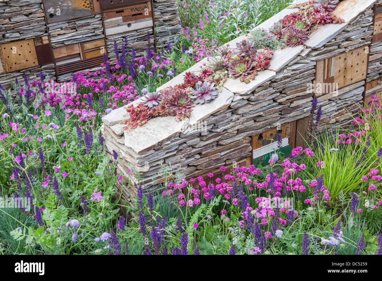 Trockenmauer mit Lebensräumen und Sempervivum innen Stockfoto