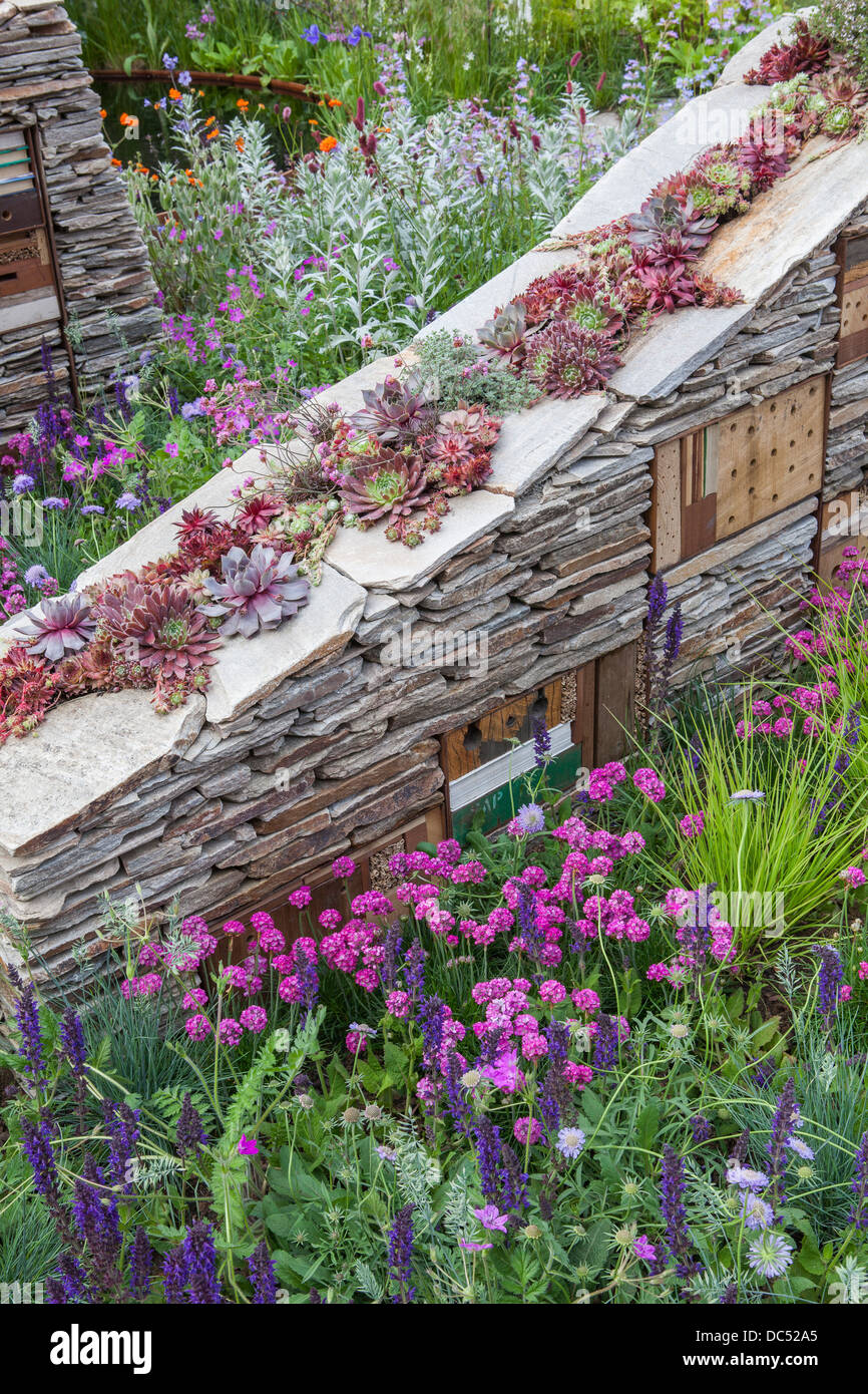 Trockenmauer mit Lebensräumen und Sempervivum innen Stockfoto