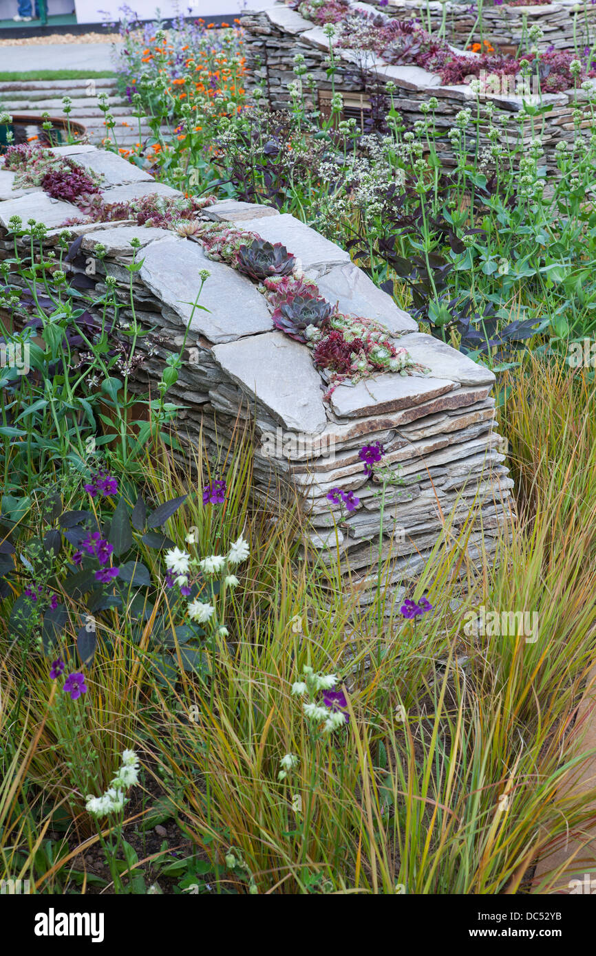 Trockenmauer mit Lebensräumen und Sempervivum innen Stockfoto