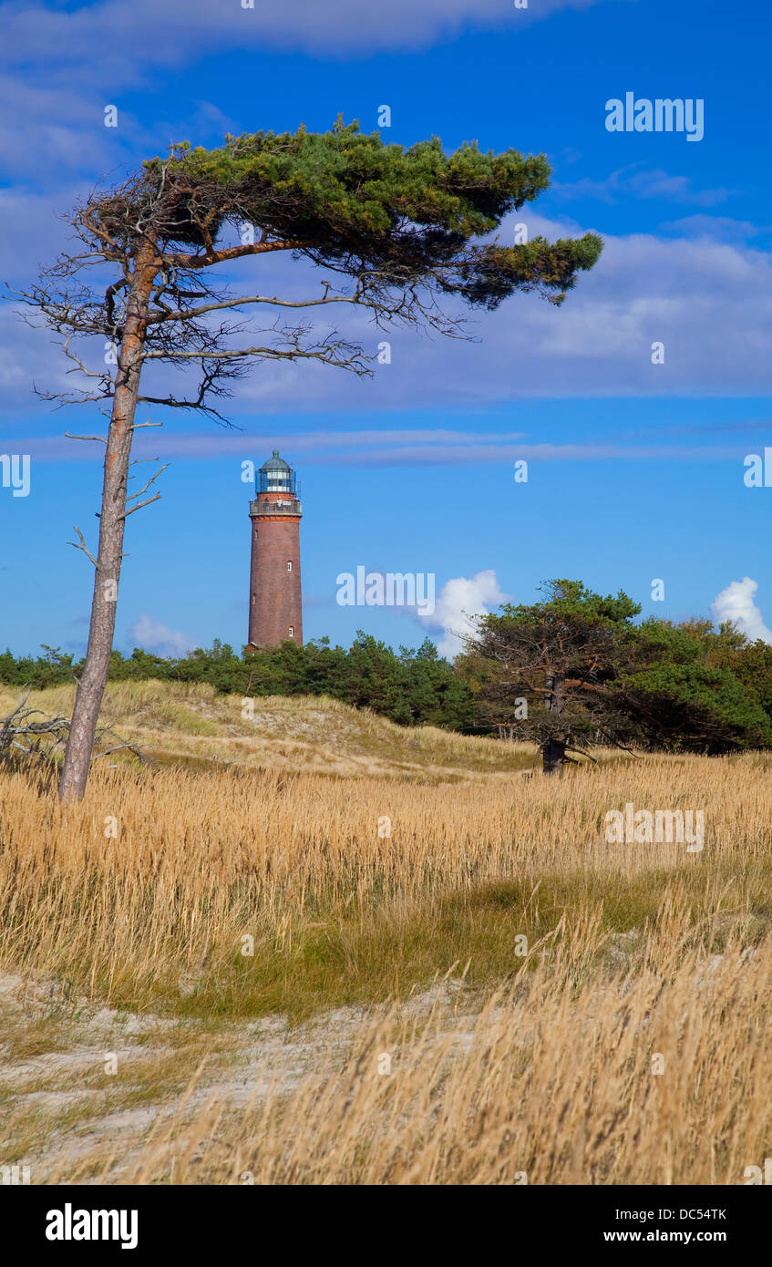 Europa, Deutschland, Mecklenburg-Vorpommern, Fischland-Darß-Zingst, Prerow Leuchtturm Darßer Ort Stockfoto