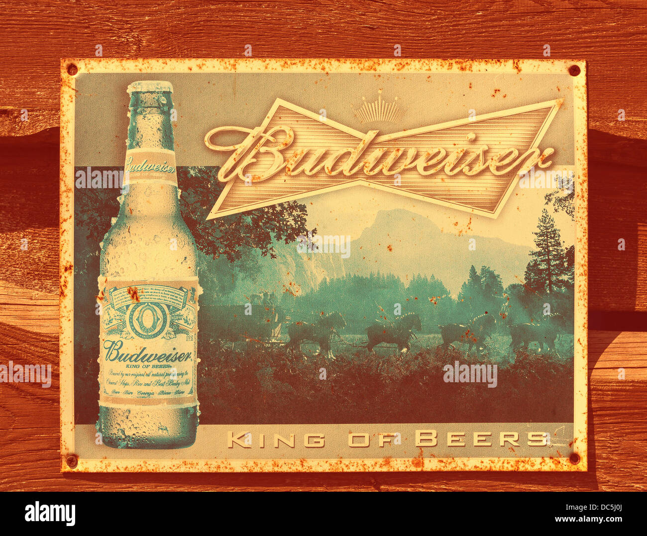 Budweiser Bier Vintage Weissblech Werbung Stockfoto