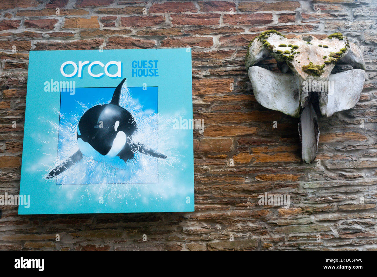 Melden Sie sich für das Orca-Gästehaus in Stromness, Orkney, neben einem großen Fischbein. Stockfoto