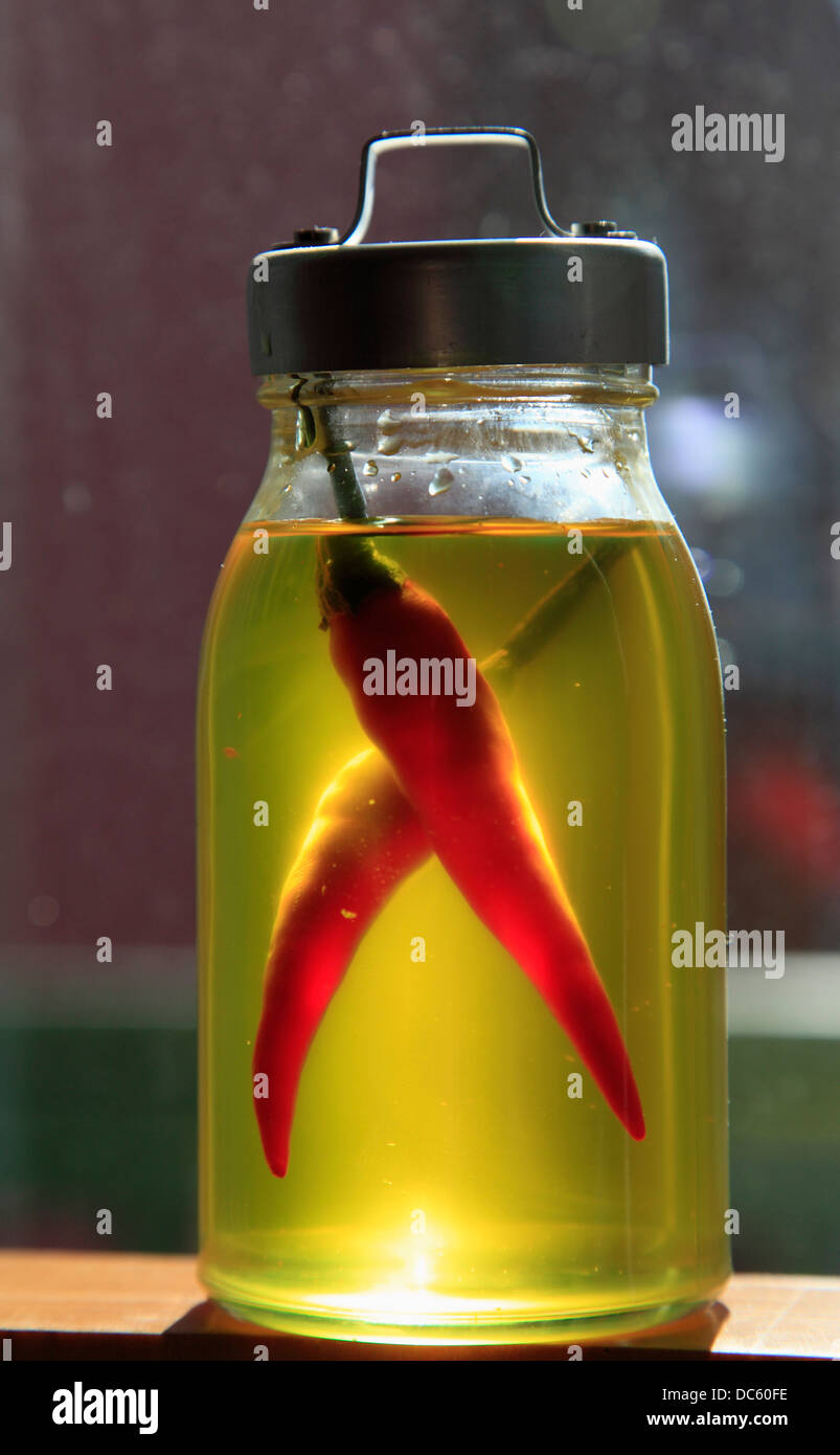 Peperoni in Öl, Stockfoto