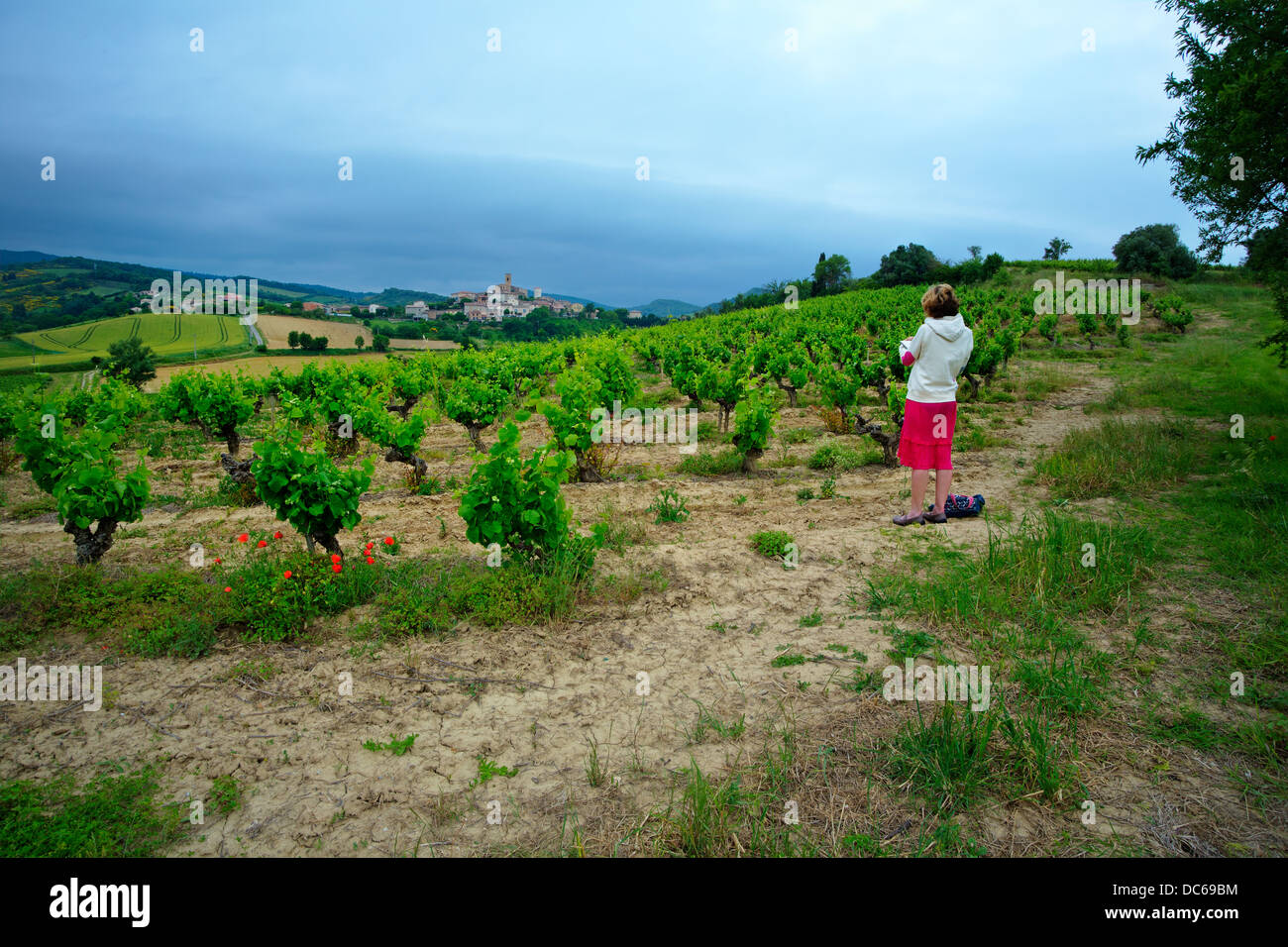 Künstler malen in einem französischen Weinberg Stockfoto