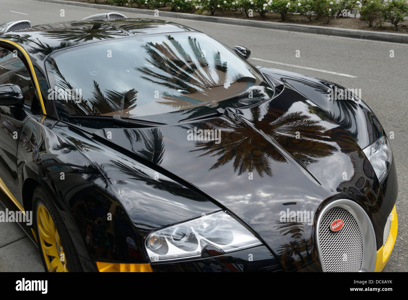 Bugatti Veyron mit Palm Tree Reflexion, Rodeo Drive, Beverly Hills, Kalifornien Stockfoto
