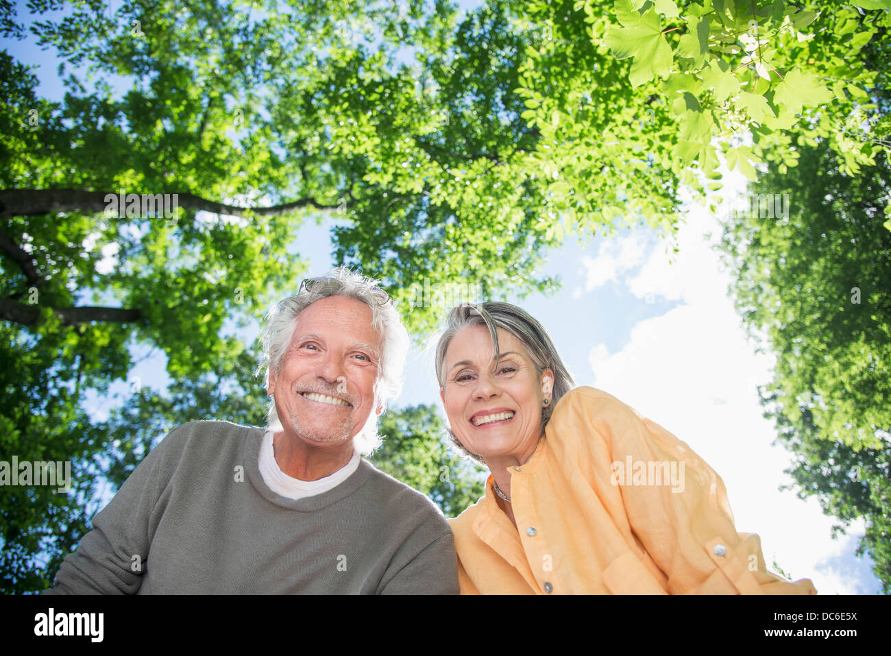 USA, Staat New York, New York City, Central Park, älteres paar unter Bäumen Stockfoto