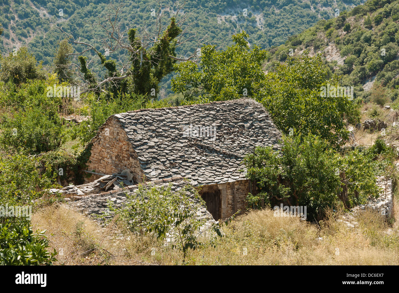 Altes Steinhaus in Škrip Dorf auf der Insel Brač, Kroatien Stockfoto