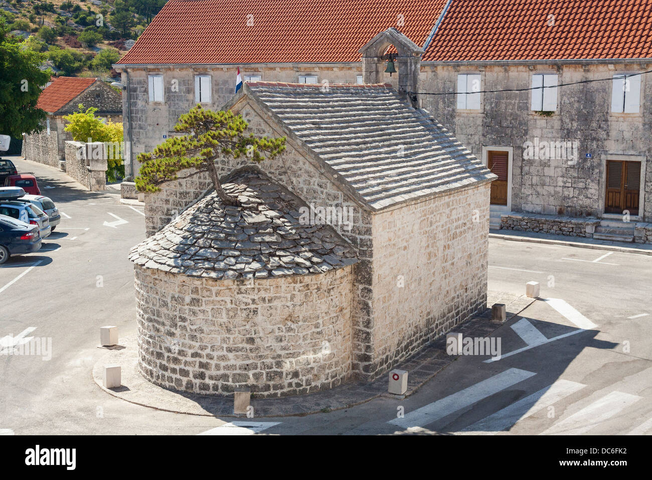Schwarzkiefer-Bonsai-Baum wchst aus St. Peter Kirchendach in Nereia auf  Bra Insel, Kroatien Stockfotografie - Alamy