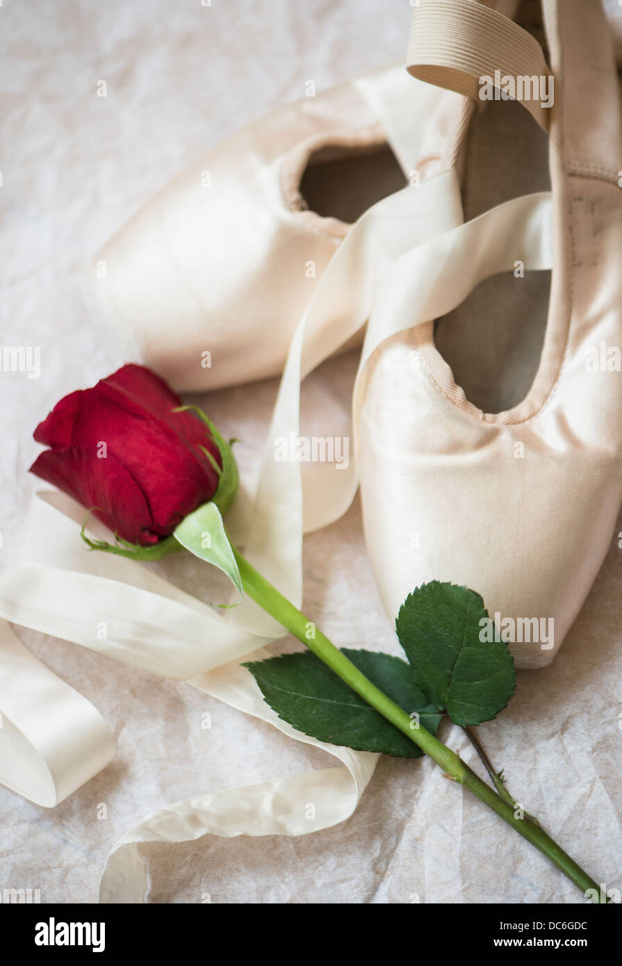 Studioaufnahme von Paar Ballettschuhe und rote rose Stockfoto