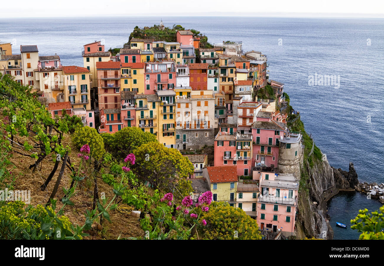 Manarola, eines der malerischen Dörfer im Cinque Terre Gebiet Italiens. Stockfoto