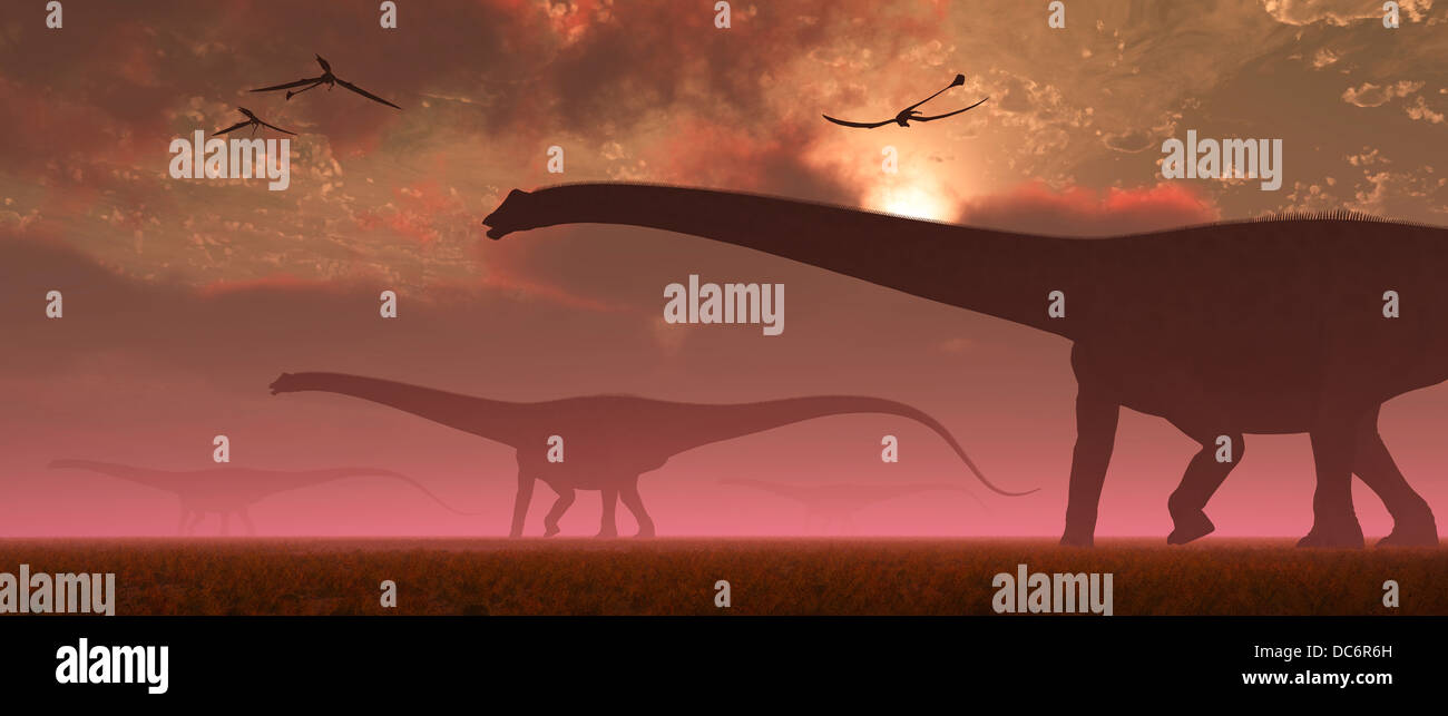 Eine Herde von Diplodocus Sauropod Dinosaurs. Stockfoto