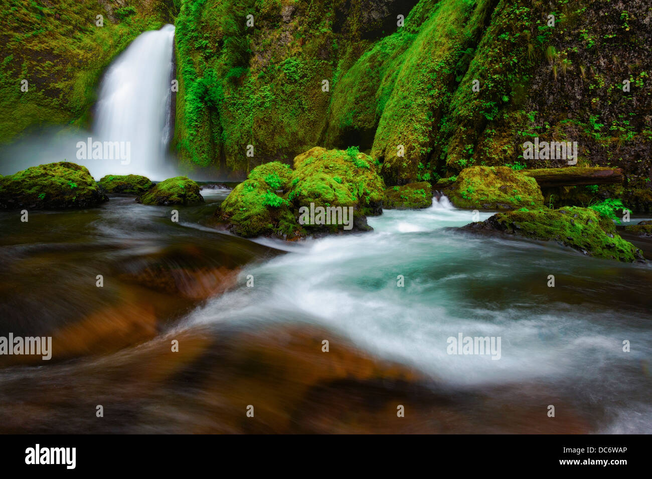 USA, Oregon, Multnomah County, Wasserfall Stockfoto