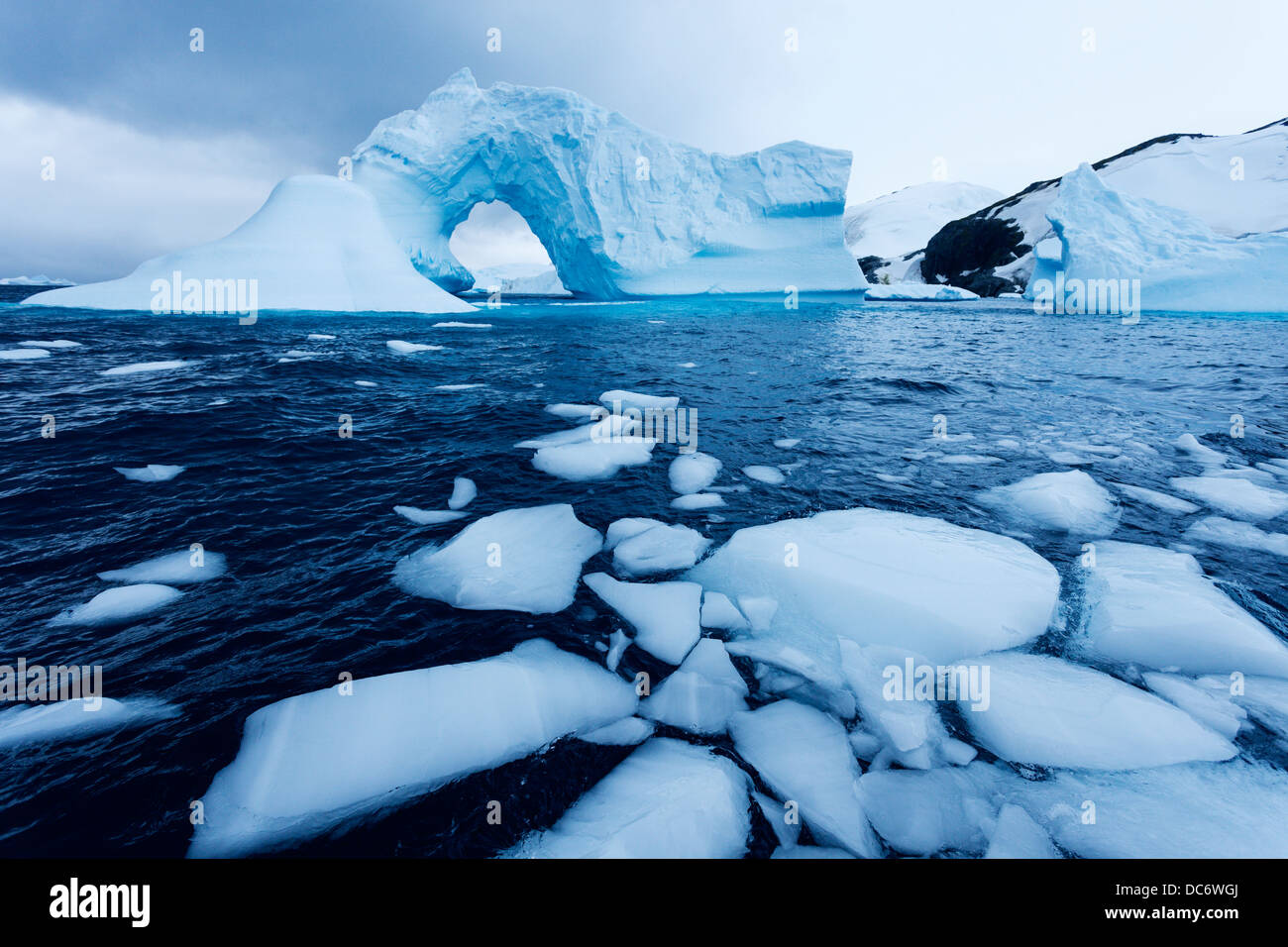 Antarktis, antarktische Halbinsel, Eisschollen auf dem Wasser schwimmt Stockfoto