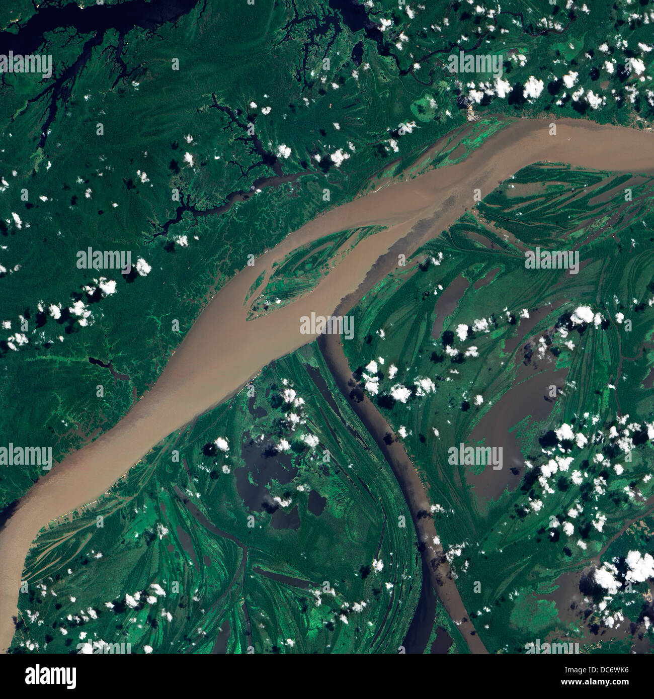 Amazonas-Satellitenansicht Stockfoto