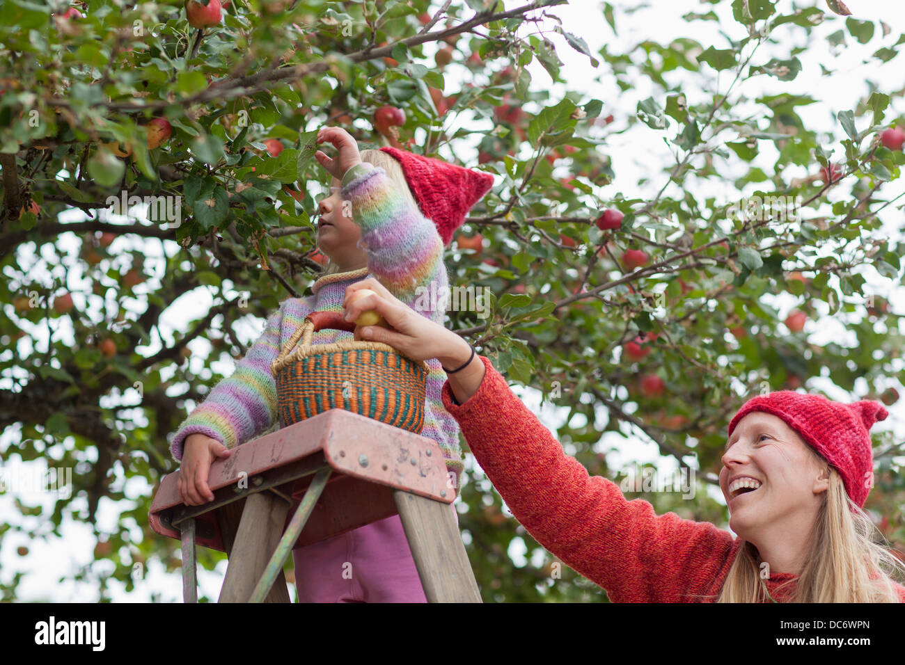 Mutter und Tochter Abholung Äpfel Stockfoto