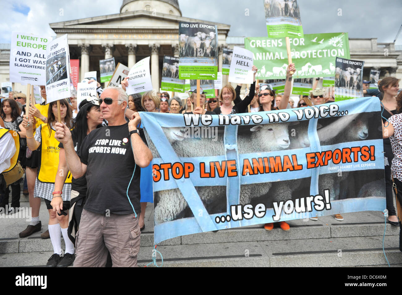 Trafalgar Square, London, UK. 10. August 2013. Demonstranten gegen tierische Lebendtierexporte stehen auf den Stufen vor der National Gallery. Bildnachweis: Matthew Chattle/Alamy Live-Nachrichten Stockfoto