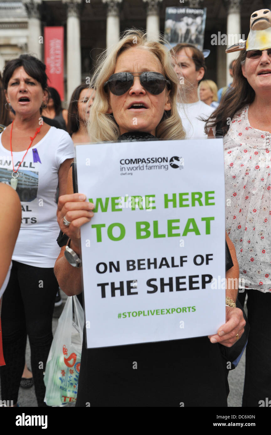 Trafalgar Square, London, UK. 10. August 2013. Demonstranten gegen tierische Lebendtierexporte stehen auf den Stufen vor der National Gallery. Bildnachweis: Matthew Chattle/Alamy Live-Nachrichten Stockfoto