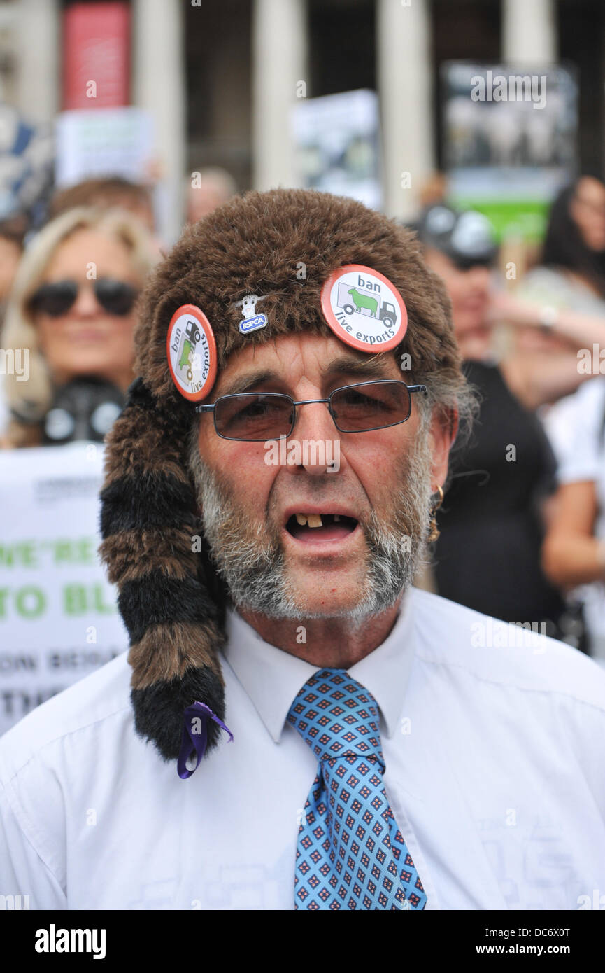 Trafalgar Square, London, UK. 10. August 2013. Demonstranten gegen tierische Lebendtierexporte stehen auf den Stufen vor der National Gallery. Bildnachweis: Matthew Chattle/Alamy Live-Nachrichten Stockfoto