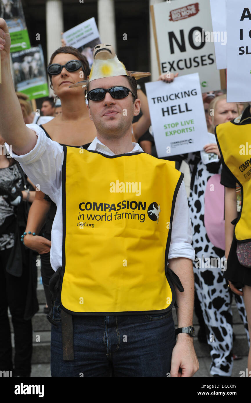 Trafalgar Square, London, UK. 10. August 2013. Demonstranten gegen tierische Lebendtierexporte stehen auf den Stufen vor der National Gallery. Bildnachweis: Matthew Chattle/Alamy Live-Nachrichten Stockfoto