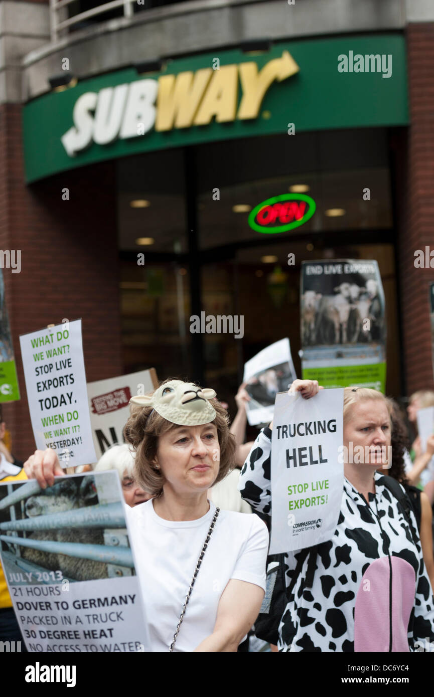 London, UK, 10. August 2013. Mitgefühl in World Farming Unterstützer Protest in Covent Garden im Zentrum von London behauptet live Ausfuhren aus dem Vereinigten Königreich ist grausam. Zehntausende Tiere ertragen angeblich lange Fahrten auf der Straße und Se in ganz Europa jedes Jahr in überbelegten Credit: Lee Thomas/Alamy Live News Stockfoto