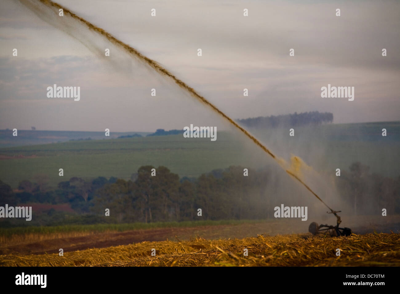 Düngung des vor kurzem kultiviert Zuckerrohr-Feld mit Vinhoto, ein Nebenprodukt der Ethanol Industrieprozess Pumpe Maschine Stockfoto