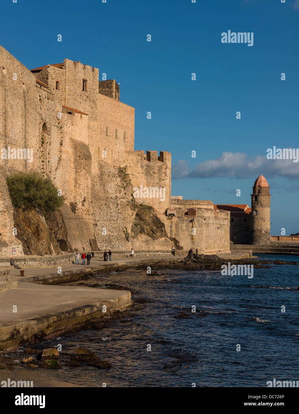 Chateau Royal und Eglise Notre Dame des Anges, Collioure, Pyrénées-Orientales, Languedoc-Roussillon, Frankreich Stockfoto